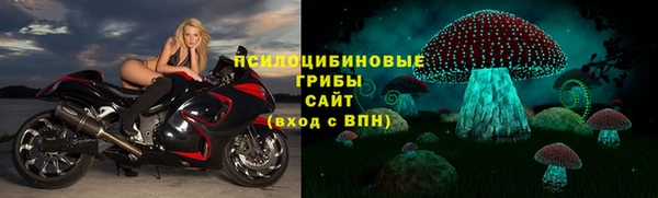 спиды Магас