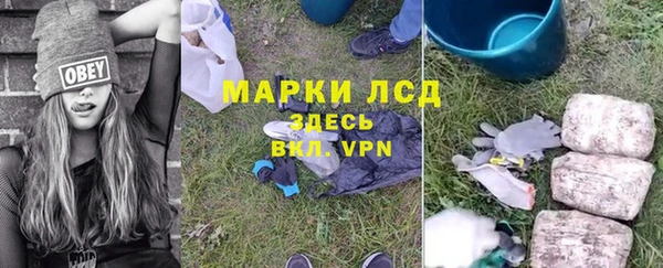 спиды Магас