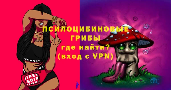 спиды Магас